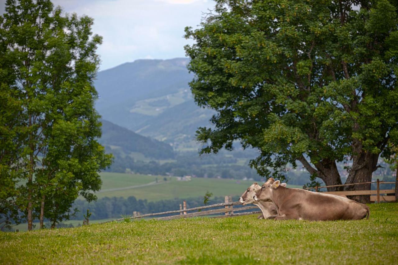 Moserhof Haus im Ennstal Exteriér fotografie