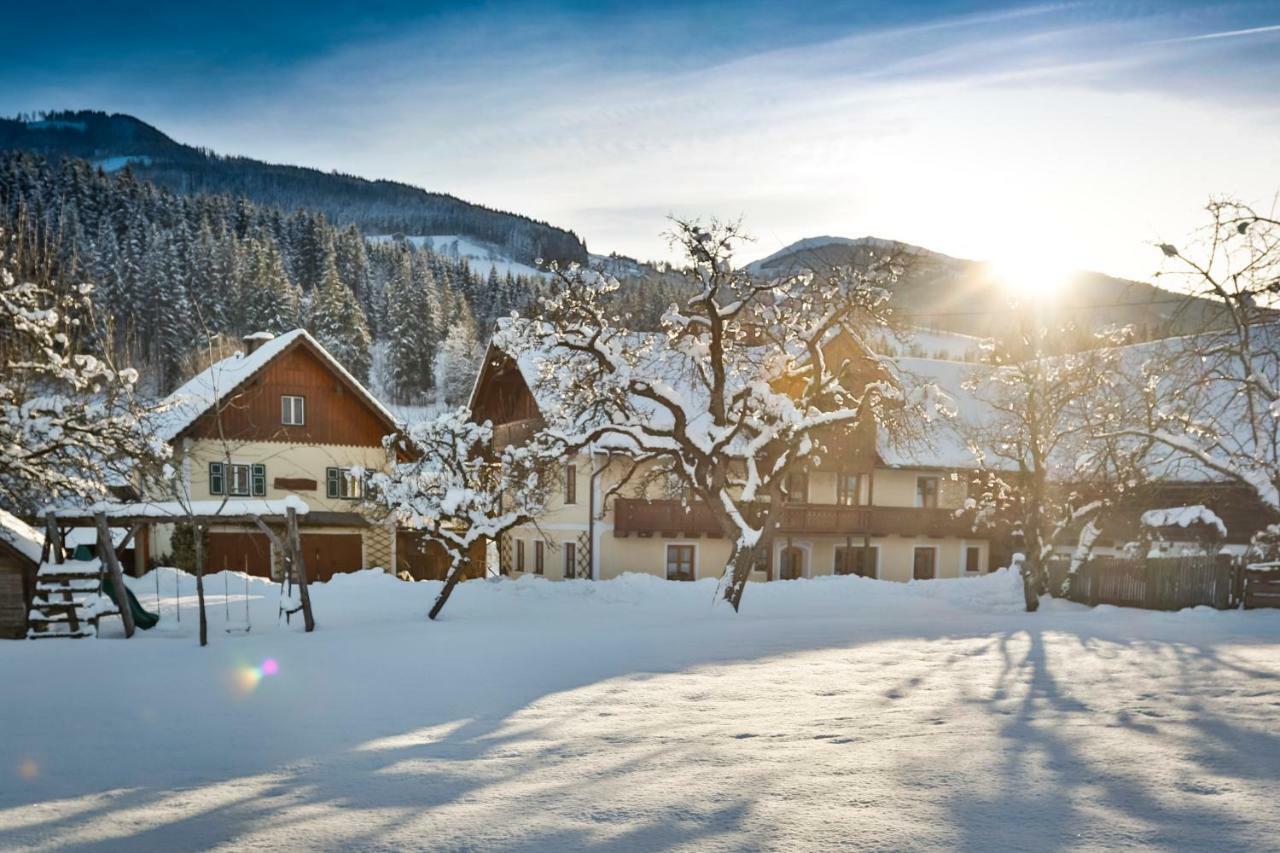 Moserhof Haus im Ennstal Exteriér fotografie